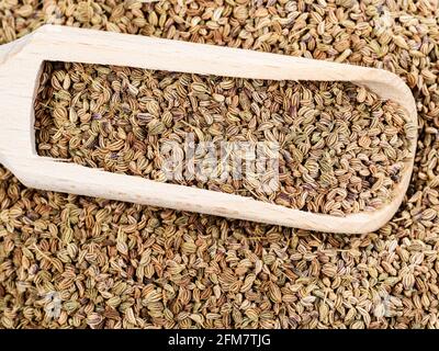 paletta di legno su pila di chiocciole di frutta ajowan Foto Stock