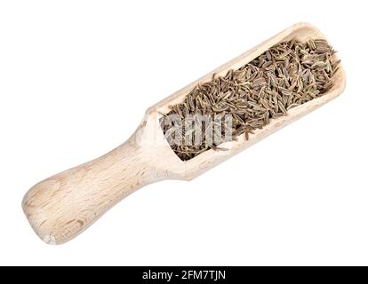 vista dall'alto dei semi di zera di kala (elwendia persica, cumino nero) in taglio di paletta di legno su sfondo bianco Foto Stock