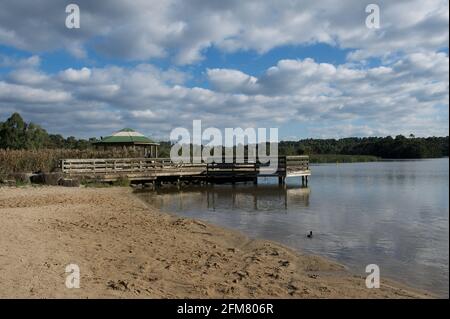 Una spiaggia al lago Lillydale, il lago prende il nome dalla Contea di Lillydale, con una doppia 'L', a differenza della città di Lilydale, con una sola 'L'. Foto Stock