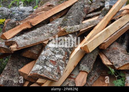 Tronchi d'albero con motivo rosso brunastro in fibra di legno chiaramente visibile Foto Stock