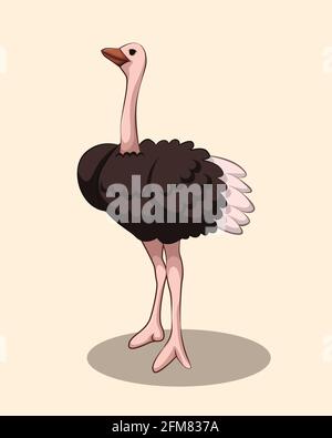 Vettore illustrazione cartone animato di un Ostrich carino. Illustrazione Vettoriale