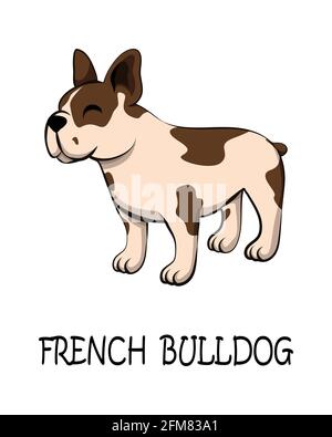 Vettore illustrazione cartone animato su uno sfondo bianco di un bel Bulldog francese. Ha strisce bianche e marroni. Illustrazione Vettoriale