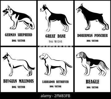 Illustrazione vettoriale della linea d'arte di vari cani come il Pastore tedesco, il Grande Dane, Dobermann, il Malinois belga, Labrador Retriever e beagle. Un insieme o Illustrazione Vettoriale