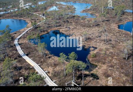 Vista areale del grande Ķemeri Raised Bog a Kemeru Parco Nazionale Lettonia Foto Stock