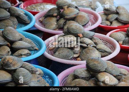 Cesti di vongole in vendita in un mercato di pesce a Busan, Corea del Sud Foto Stock