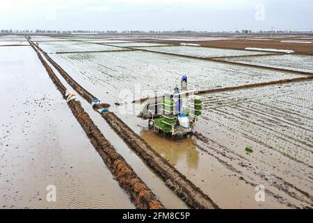 Shenyang, Cina. 7 maggio 2021. Il 7 maggio 2021, Shenyang, Liaoning, nel luogo in cui è stato prodotto il prodotto nazionale di indicazione geografica 'Sujiatun Rice' nel villaggio di Heilintai, Hongling Street, Shenyang, Liaoning, gli agricoltori hanno gestito un trapianto di piantine ad alta velocità per il trapianto di piantine. Meng Xia, tutto cresce. Man mano che la temperatura aumenta gradualmente, gli agricoltori di Shenyang si impadroniscono della stagione agricola e eseguono l'aratura e la semina primaverile. Si tratta di scene affollate, che disegnano immagini di un vibrante aratura primaverile. Credit: SIPA Asia/ZUMA Wire/Alamy Live News Foto Stock