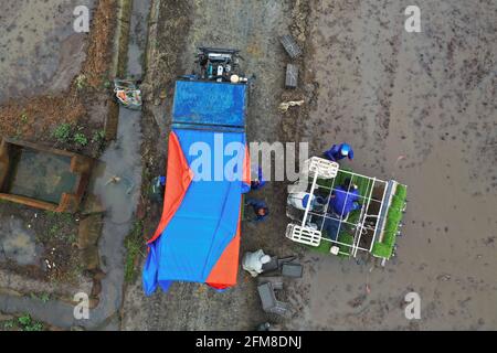 Shenyang, Cina. 7 maggio 2021. Il 7 maggio 2021, Shenyang, Liaoning, nel luogo in cui è stato prodotto il prodotto nazionale di indicazione geografica 'Sujiatun Rice' nel villaggio di Heilintai, Hongling Street, Shenyang, Liaoning, gli agricoltori hanno gestito un trapianto di piantine ad alta velocità per il trapianto di piantine. Meng Xia, tutto cresce. Man mano che la temperatura aumenta gradualmente, gli agricoltori di Shenyang si impadroniscono della stagione agricola e eseguono l'aratura e la semina primaverile. Si tratta di scene affollate, che disegnano immagini di un vibrante aratura primaverile. Credit: SIPA Asia/ZUMA Wire/Alamy Live News Foto Stock
