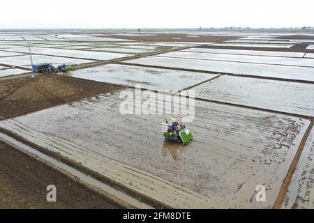 Shenyang, Cina. 7 maggio 2021. Il 7 maggio 2021, Shenyang, Liaoning, nel luogo in cui è stato prodotto il prodotto nazionale di indicazione geografica 'Sujiatun Rice' nel villaggio di Heilintai, Hongling Street, Shenyang, Liaoning, gli agricoltori hanno gestito un trapianto di piantine ad alta velocità per il trapianto di piantine. Meng Xia, tutto cresce. Man mano che la temperatura aumenta gradualmente, gli agricoltori di Shenyang si impadroniscono della stagione agricola e eseguono l'aratura e la semina primaverile. Si tratta di scene affollate, che disegnano immagini di un vibrante aratura primaverile. Credit: SIPA Asia/ZUMA Wire/Alamy Live News Foto Stock