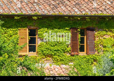 Cottage con edera crescente sulle pareti Foto Stock