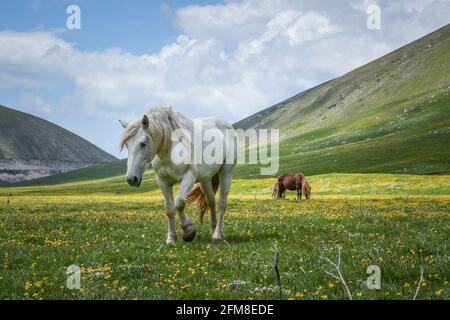 Un altro giorno nel piccolo Tibet, in Italia. Foto Stock