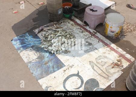 Mercato di strada che vende pesce e carne, India Foto Stock