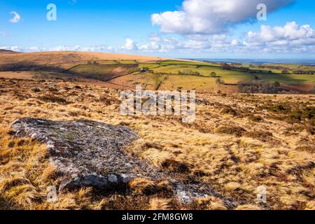 Vista da Belstone Tor verso Higher Halstock e terreni agricoli, Dartmoor National Park, Devon, Inghilterra, Regno Unito Foto Stock