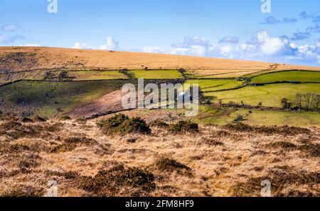 Vista da Belstone Tor verso Higher Halstock e terreni agricoli, Dartmoor National Park, Devon, Inghilterra, Regno Unito Foto Stock