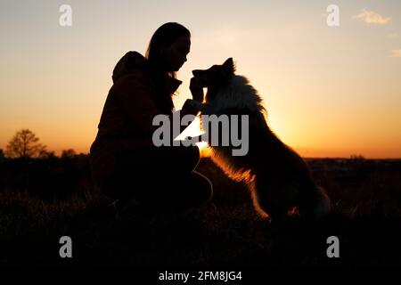 La silhouette di una donna con il suo cane shaggy. Proprietario e animale domestico al tramonto. Foto Stock