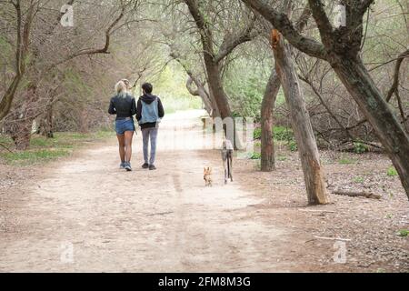 Giovane coppia punk che cammina i loro cani in un parco. Stile di vita rock and roll. Foto Stock