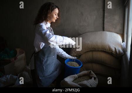 La confezione di torrefazione della giovane lavoratrice riempie il vaso di chicchi di caffè verdi con la paletta. Chicchi di caffè verdi in sacco a scrigolo presso la compagnia di torrefazione del caffè. Immagine ad alta risoluzione del concetto di business di coffee trading. Foto Stock