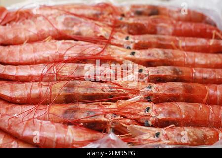Primo piano fresco di langostine rosse grezze, Nefrops norvegicus, aragosta norvegese, gamberi della baia di Dublino o scampi Foto Stock