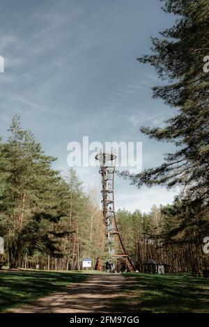 Immagine verticale della Torre di osservazione del Parco Regionale Labanoras Foto Stock