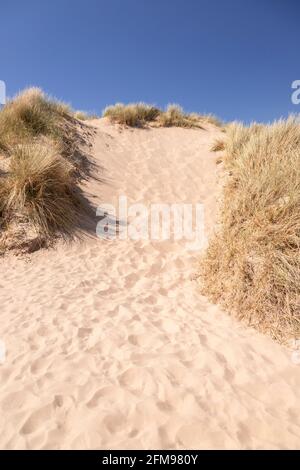 Dune di sabbia sulla spiaggia di Harlech, Gwynedd, Galles Foto Stock