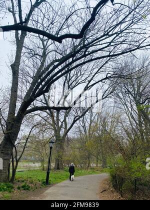 Primavera in anticipo a Prospect Park , donna e suo cane, Brooklyn, New York. Foto Stock