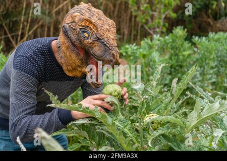 Uomo con maschera di testa animale dinosauro mangiare carciofi in orto. Foto Stock