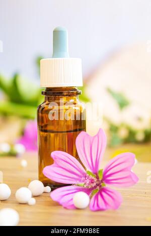 erbe medicinali, oli in piccole bottiglie omeopatia. fuoco selettivo Foto Stock