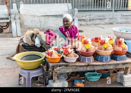 Mysuru, Karnataka, India - Gennaio 2019: Una donna indiana anziana che vende noci di cocco e oggetti pooja fuori dell'antico tempio indù di Chamundeshwara i. Foto Stock