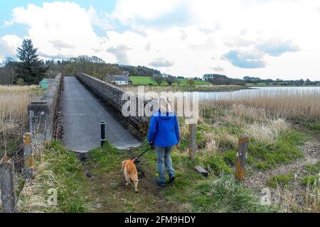 Un camminatore attraversa il Logie Buchan War Memorial Bridge sul fiume Ythan nel piccolo borgo o parrocchia di Logie Buchan, Aberdeenshire, Scozia, Regno Unito Foto Stock