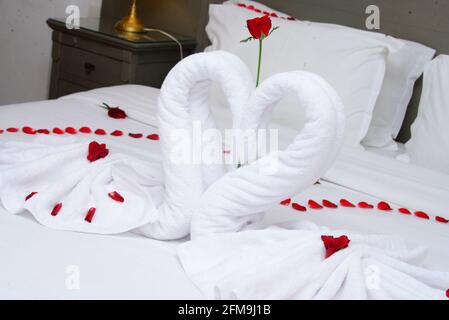 Asciugamano come ornamenti di uccelli con petali di rosa rossa sul letto bianco pulito nella camera d'hotel. Lo sposo e lo sposo sono felici il giorno del matrimonio. Foto Stock