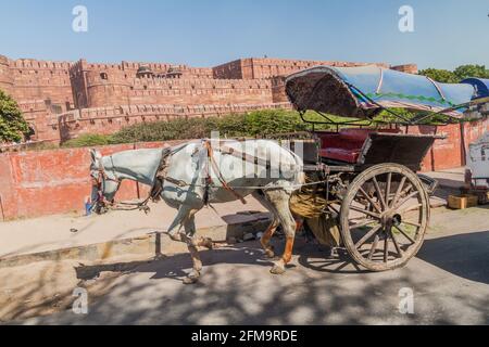Carrello di cavalli di fronte al Forte di Agra, Utttar Pradesh stato, India Foto Stock