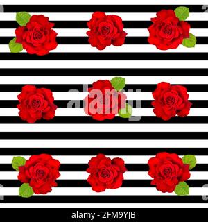 Rose rosse con motivo senza cuciture a righe. Design in bianco nero con linea orizzontale. Sfondo in stile retrò Foto Stock