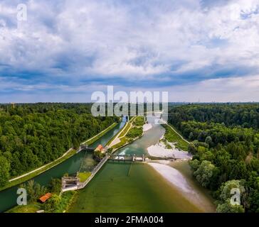 Primo piano di mani che abbracciano un albero e toglie la maschera medica protettiva, la tiene sulle sue dita, gode di vita, aria fresca pulita nella foresta dopo Covid-19 pandemia, auto-isolamento.Quarantine è finita Foto Stock