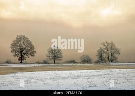 Paesaggio da sogno invernale in una mattinata gelida nella bassa Sassonia Valle dell'Elba Foto Stock