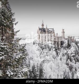 Vista dalla Marienbrücke al castello di Neuschwanstein, coperto di neve, vicino a Füssen in inverno. Foto Stock