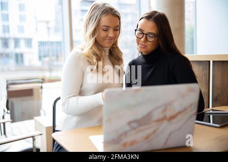 Femmina freelance lavorando sul computer portatile in Cafe Foto Stock
