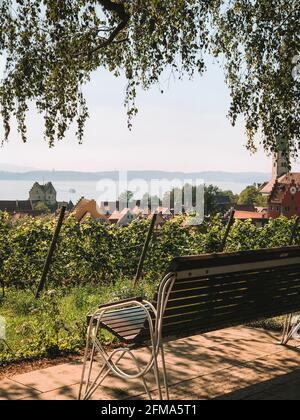 Lago di Costanza, Meersburg, vigneto, banca, Baden-Württemberg, Germania Foto Stock