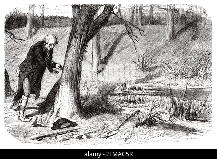 Morte di Roland. Jean-Marie Roland de la Platiére (1734-1793) è stato un politico francese durante la Rivoluzione francese. Francia. Illustrazione del vecchio XIX secolo incisa da Histoire de la Revolution Francaise 1876 di Jules Michelet (1798-1874) Foto Stock