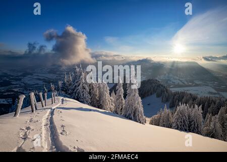 Pista da sci in un paesaggio invernale innevato in un soleggiato tardo pomeriggio sulla Grünten. Allgäu Alpi, Baviera, Germania, Europa Foto Stock