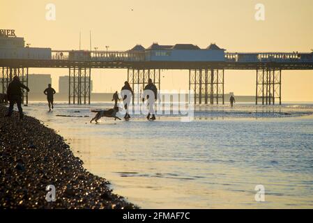 La mattina presto passeggia lungo la spiaggia a bassa marea con i cani. Il Palace Pier di Brighton ha una silhouette sullo sfondo. Brighton & Hove, Sussex, Inghilterra, Regno Unito Foto Stock