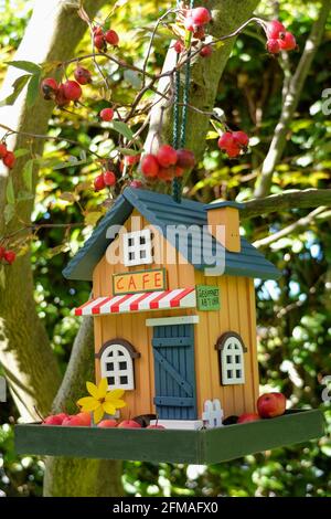 Casa degli uccelli colorata in legno in un aspetto da caffetteria Foto Stock