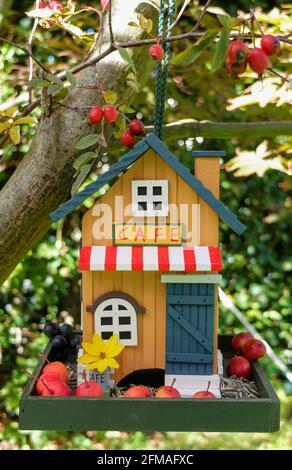 Casa degli uccelli colorata in legno in un aspetto da caffetteria Foto Stock