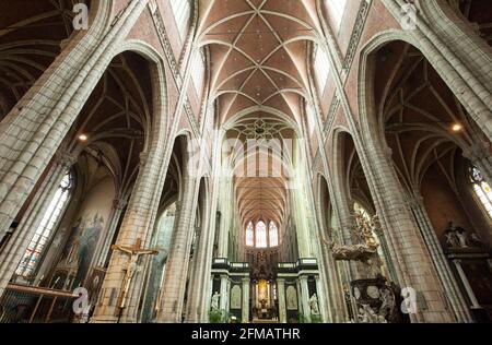 Chiesa di San Bavo, Gand, Belgio Foto Stock