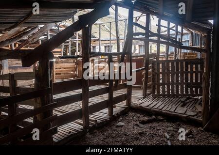 Storico Quailburn Woolshed, vicino a Omarama, McKenzie Country, Canterbury, South Island, Nuova Zelanda Foto Stock