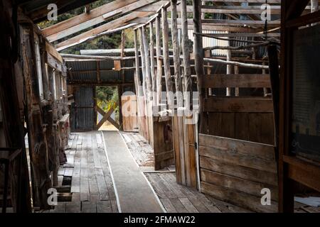 Storico Quailburn Woolshed, vicino a Omarama, McKenzie Country, Canterbury, South Island, Nuova Zelanda Foto Stock