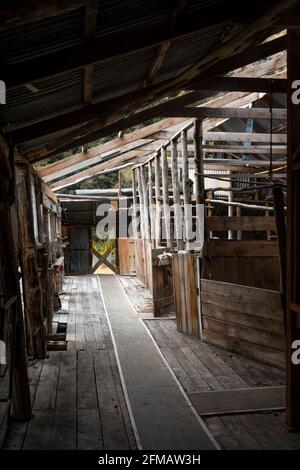 Storico Quailburn Woolshed, vicino a Omarama, McKenzie Country, Canterbury, South Island, Nuova Zelanda Foto Stock