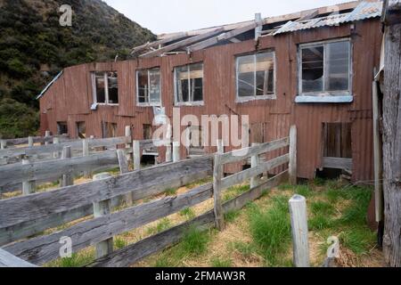 Storico Quailburn Woolshed, vicino a Omarama, McKenzie Country, Canterbury, South Island, Nuova Zelanda Foto Stock