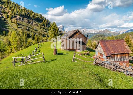 Rifugi in estate, paesaggi rurali in alta quota nelle dolomiti, pascoli di Laste, rocca Pietore, Belluno, Veneto, Italia Foto Stock