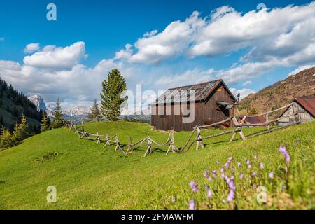 Rifugi in estate, paesaggi rurali in alta quota nelle dolomiti, pascoli di Laste, rocca Pietore, Belluno, Veneto, Italia Foto Stock