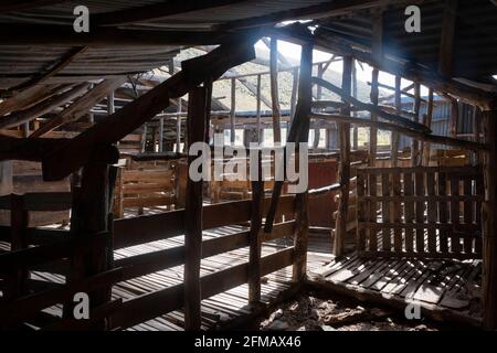 Storico Quailburn Woolshed, vicino a Omarama, McKenzie Country, Canterbury, South Island, Nuova Zelanda Foto Stock