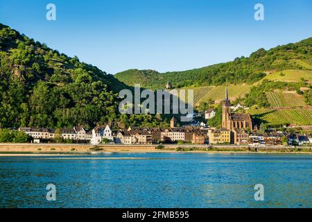 Germania, Renania-Palatinato, Bacharach, Patrimonio Mondiale dell'Umanità Valle del Medio Reno, vista sul Reno a Lorchhausen Foto Stock